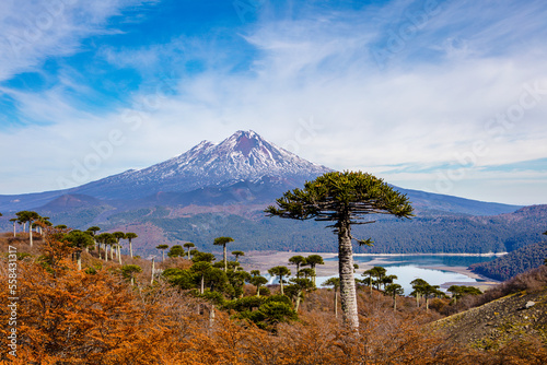 Llaima Volcano