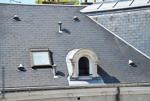 Slate roof with skylight, vasistas and zinc accessories: half-round cat flap, gutter, ventilation outlet cap, piece of roof.