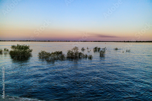 water reeds horizon sunset volgograd the volga river