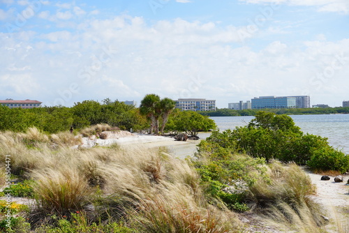 Winter landscape Cypress Point Park and Tampa Bay in Florida. It is close to TPA airport and is an Oceanfront park with a boardwalk, hiking trails, dunes, picnic shelters and a canoe dock.