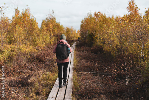 Young blonde hiker walks along a trail in Store Mosse National Park. Girl with big backpack walks on long wooden boards in the middle of a desert plain. Scandinavian vegetation, autumn and adventure.