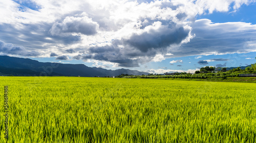 夏空を背景に田園風景「南阿蘇白川水源駅・ホタルの里」 Rural scenery against the summer sky "Minami Aso Shirakawa Suigen Station / Firefly Village" 日本(夏) Japan (summer) 九州・熊本県南阿蘇村 Minamiaso Village, Kumamoto Prefecture, 2022年(夏)