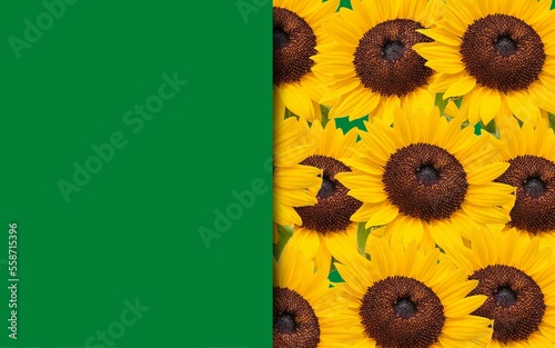 card with sunflowers background
