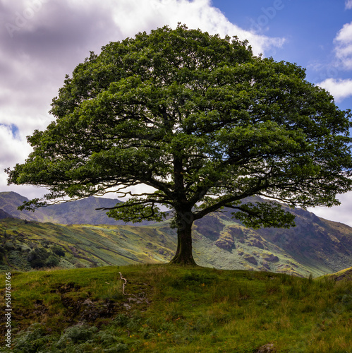 Amazing landscape and nature of Lake District National Park - travel photography
