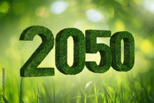 Numbers 2050 from grass. A symbol of sustainable development and full transition to renewable energy by 2050 year. 