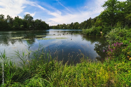 Nature on the Amper river, near Dachau, Bavaria.