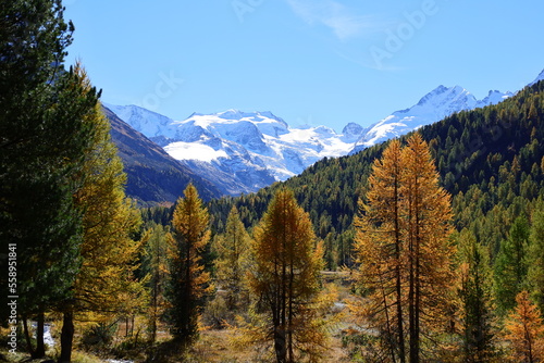 View on the Pers Glacier is a glacier in the Bernina range in the canton of Grisons in the Upper Engadine , Switzerland