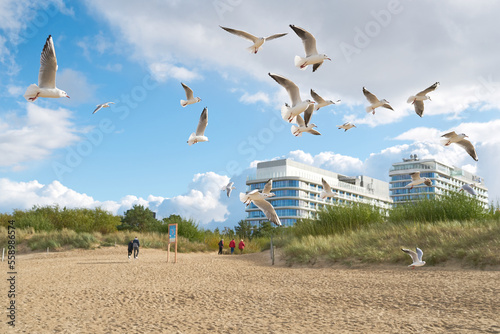 Möwen und Urlauber am Strand von Swinoujscie an der polnischen Ostseeküste 