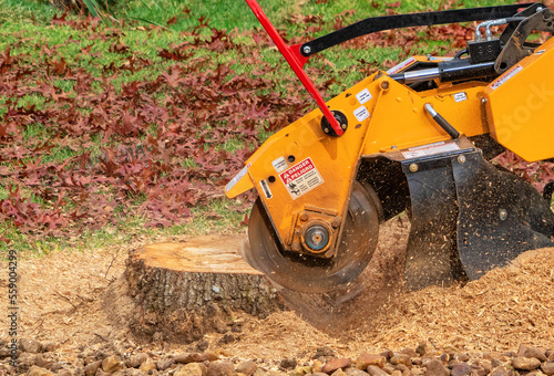 Stump Grinder