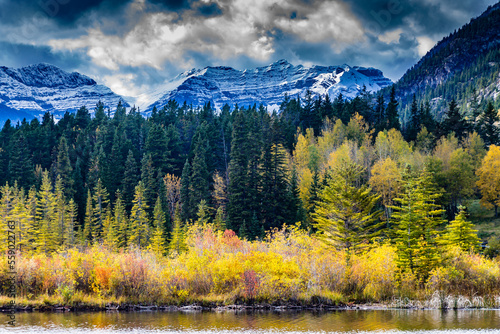 Fall colours around Vermillion Lakes, Banff National Park, Alberta, Canada