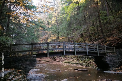 A wooden bridge with the background of fall foliage near Buttermilk Falls, Ithaca, New York