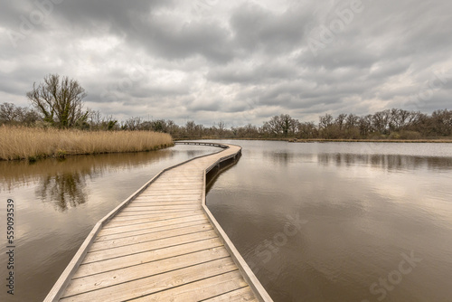 Wetland boardwalk in Nature reserve France
