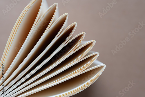 folded paper into what are known as "signatures" in bookbinding