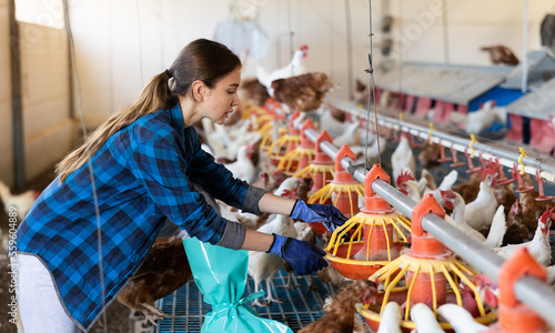 Young female owner of small poultry farm setting up hanging chicken feeders in hen house..