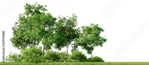 Green trees, shrubs and meadow isolated on transparent background. Forest or park design element. Realistic 3D render, 3D illustration.