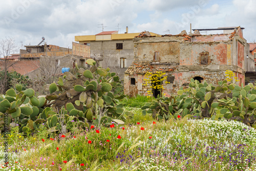 A charming old house with colorful flowers in Locri, located in the southern region of Calabria, Italy. 
