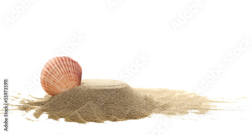 Sea shell in sand pile isolated on white background, side view