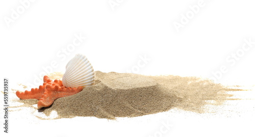 Sea shell and starfish in sand pile isolated on white background, side view