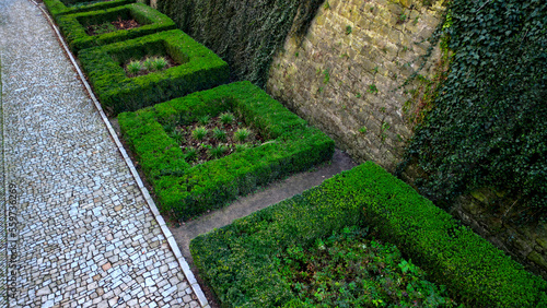 cut squares of flowerbed edging in a historic garden made of boxwood hedges. courtyard of castle along cobblestone path row of squares frozen ice, snowing evergreen topiary, ivy, creeper, above, top