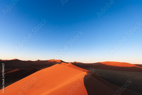 incredible dunes during sunrise at sossuvlei national park in Namibia 