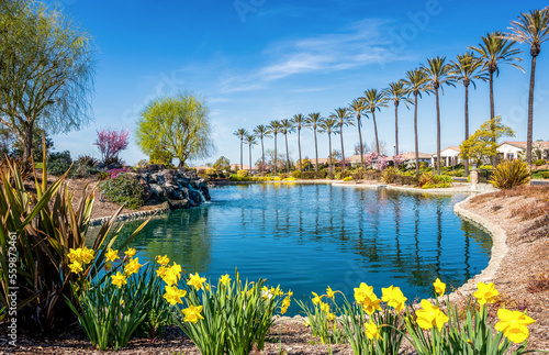 A pond filled with beautiful bright blue water surrounded by flowers and palm trees at the trilogy community in rio vista california.