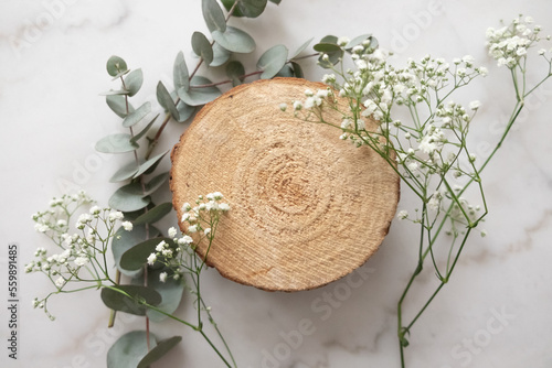 eucalyptus branches and little flowers with wooden disk on marble background flat lay frame
