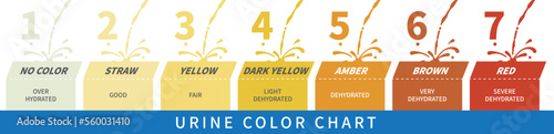 Urine color chart with gradients from clear to yellow and orange and even darker. An indicator of the degree of dehydration. Vector illustration.