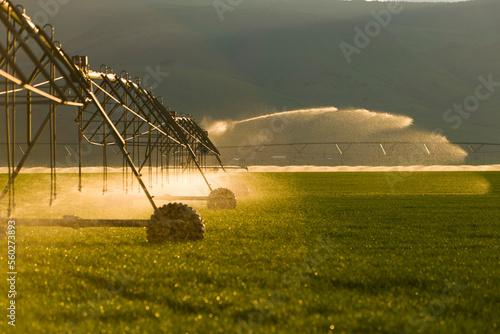 Automated irrigation of a farm field in Sunlight.