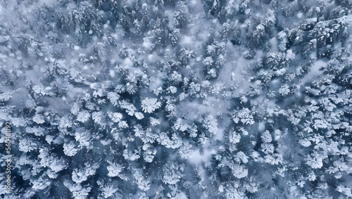 雪山の風景 ドローン 空撮