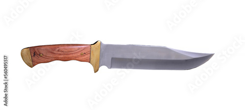 Bowie Knife isolate over white