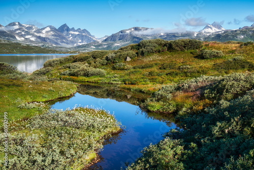 Nationalpark Jotunheimen, Norwegen, Skandinavien mit Landschaft typisch für Fjell, Fjäll