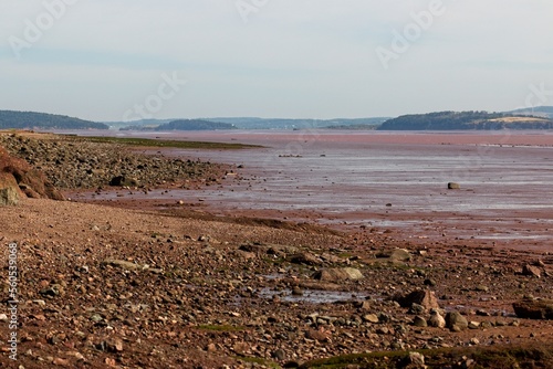 The mud flat in the Bay of Fundy at Hopewell Rocks, New Brunswick.