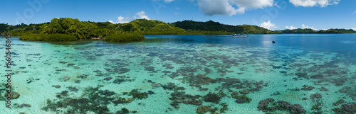 A scenic tropical island is fringed by a healthy coral reef in the Solomon Islands. This beautiful country is home to spectacular marine biodiversity and many historic WWII sites.