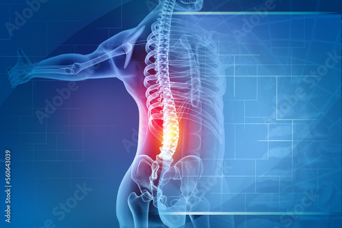 pain in the spine, pain in the back, highlighted in red, x-ray view. 3d illustration