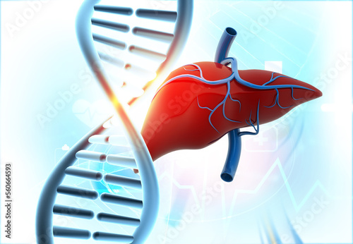 Human liver anatomy on DNA background. 3d illustration.