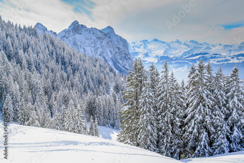  Sattel swiss alps winter skiing