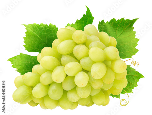 Bunch of Thompson seedless grapes with leaves and tendrils cut out