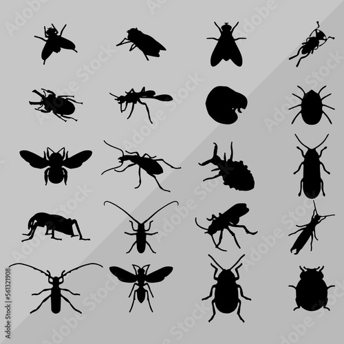 insect icons set