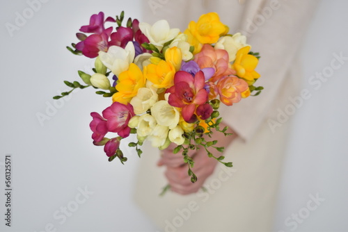 Kolorowe kwiaty, frezje, życzenia, wszystkiego najlepszego. Colorful flowers, freesia, wishes, Happy Birthday.