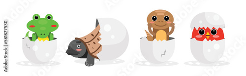 Chick and Reptile Hatching from Cracked Egg Shell Vector Set