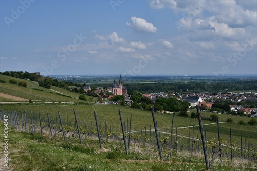 Blick auf die Katharinenkirche und Häuser mit Landschaften in Oppenheim am Rhein