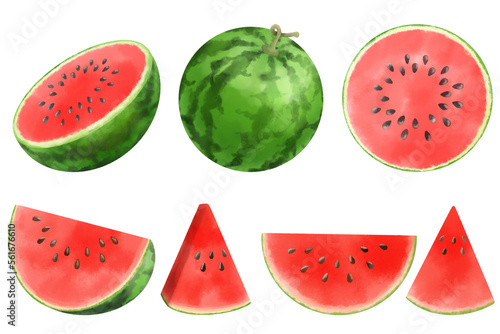 水彩で表現したスイカのイラストセット／watermelon illustration set expressed in watercolor