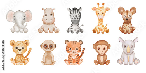 Cute baby watercolor african animals isolated on white background . Safari Animal elephant, cheetah and monkey sitting. Hand drawn illustration for kids.
