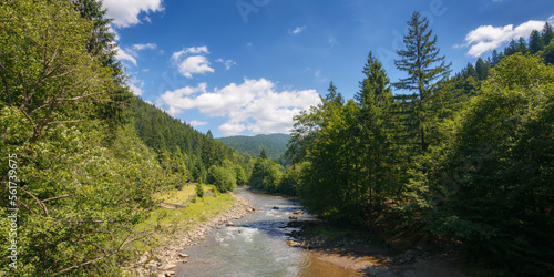 countryside landscape with mountain river. trees along the rocky shore and forest on the hill