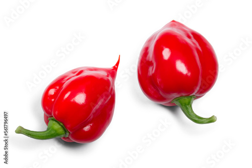 Habanero peppers (Capsicum chinense), top view isolated png
