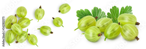 Green gooseberry isolated on white background with full depth of field. Top view. Flat lay