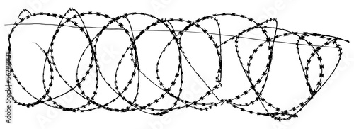 Coils of razor wire as used in detainment camps and prisons and borders is isolated and transparent to be used as a graphic resource.