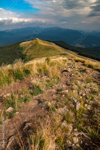 Górski pejzaż Połoniny Caryńskiej późnym latem, Bieszczady, Polska