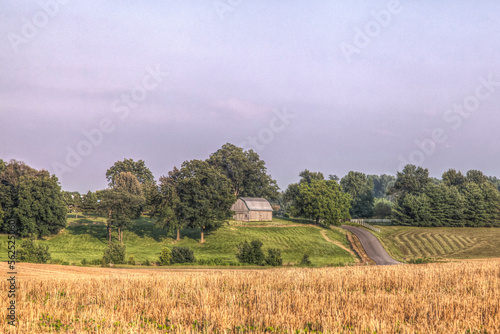 Summer farm scene with windrows and a barn 