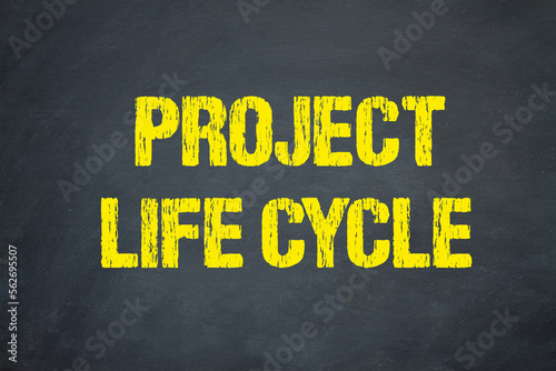 project life cycle 